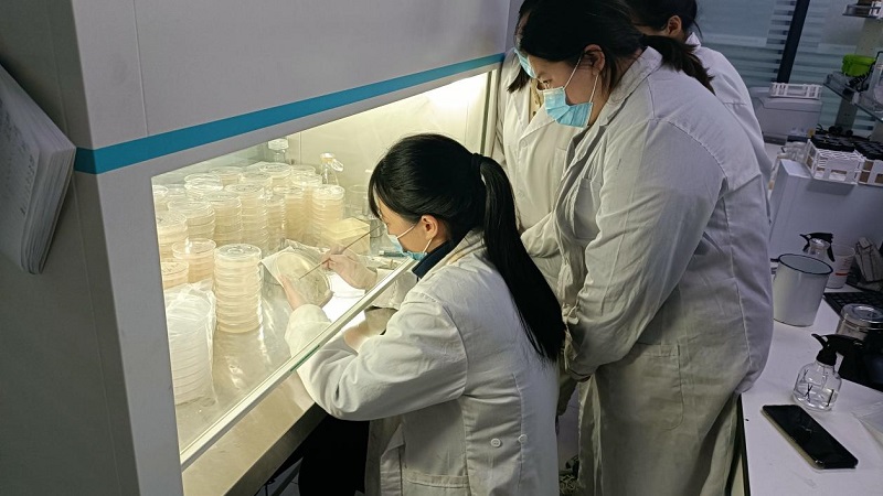 微生物檢測濾膜法操作規(guī)程是怎么樣的？