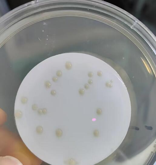 1725441443637139.jpg QQ截圖20240904171638.jpg